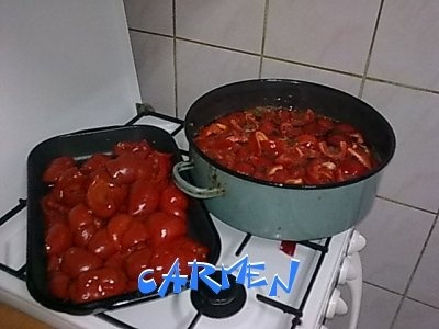 Gogosari a la dicarmencitta