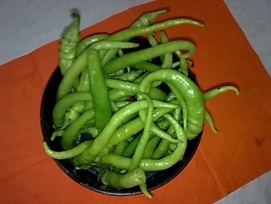 Ardei bulgaresti la borcan