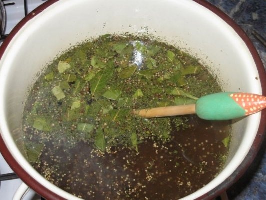 Castraveti murati, cu conopida si gogosari