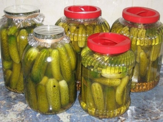 Castraveti murati, cu conopida si gogosari