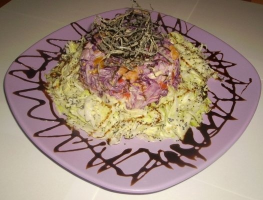 Salata de peste marinat Felicia