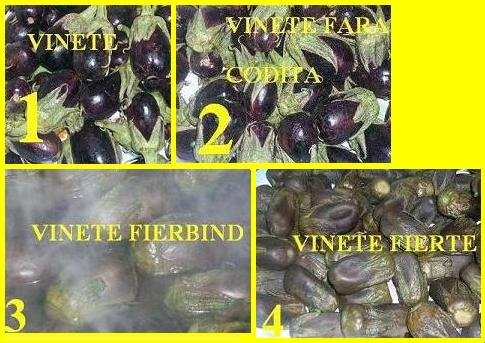 Maqdus (specific arab)