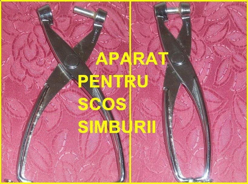 Masline taiate cubulete murate