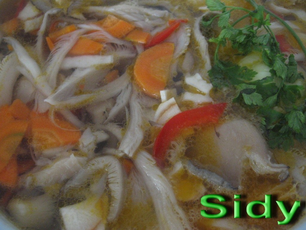 Bors din ciuperci pleurotus