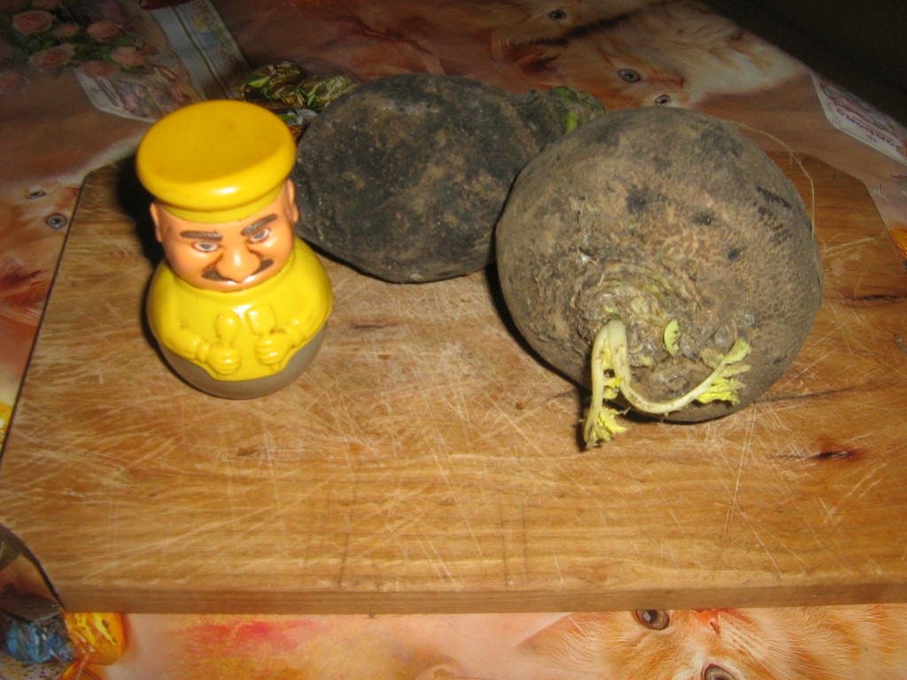 Salata de ridichi de negre