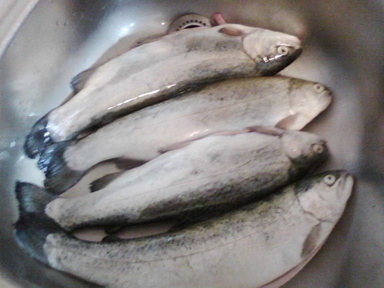 Pastrav cu sos  la Dubletta