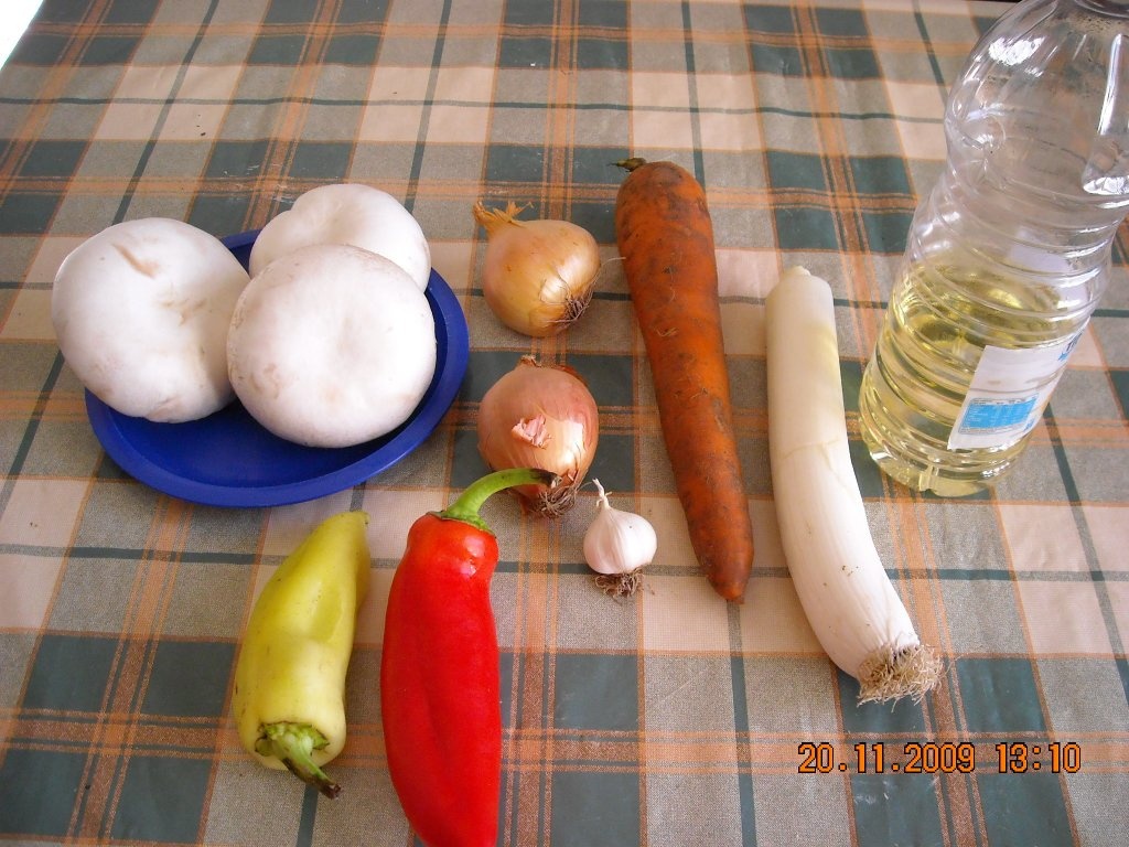 Tocanita de ciuperci