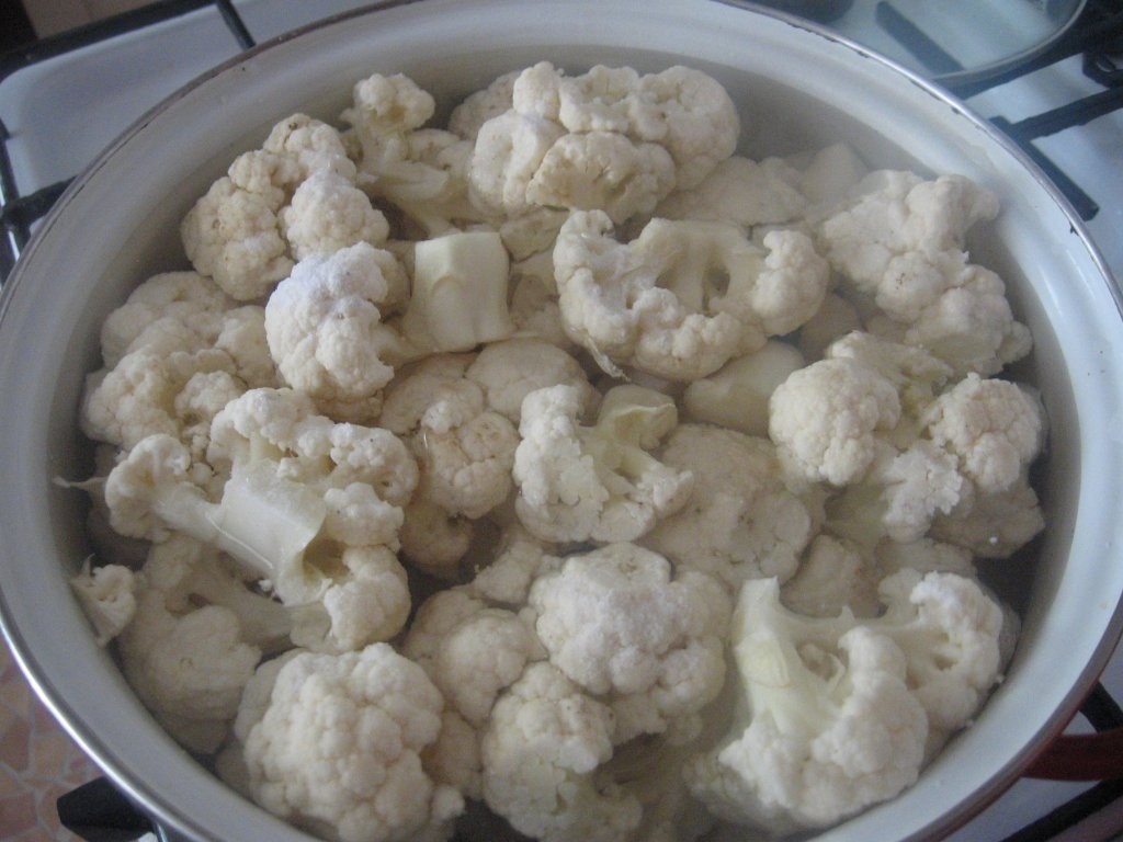 Conopida frantuzeasca