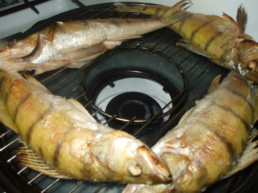 Salau la gratar cu cartofi prajiti