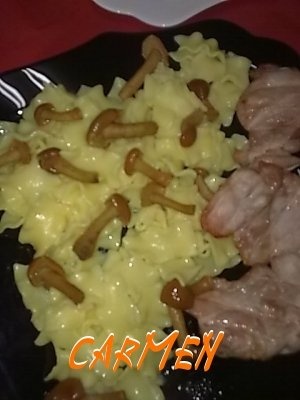 Friptura de curcan, cu paste si sos Gran Cucina.