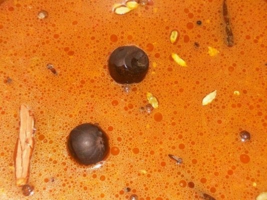 Capse(specific arab)