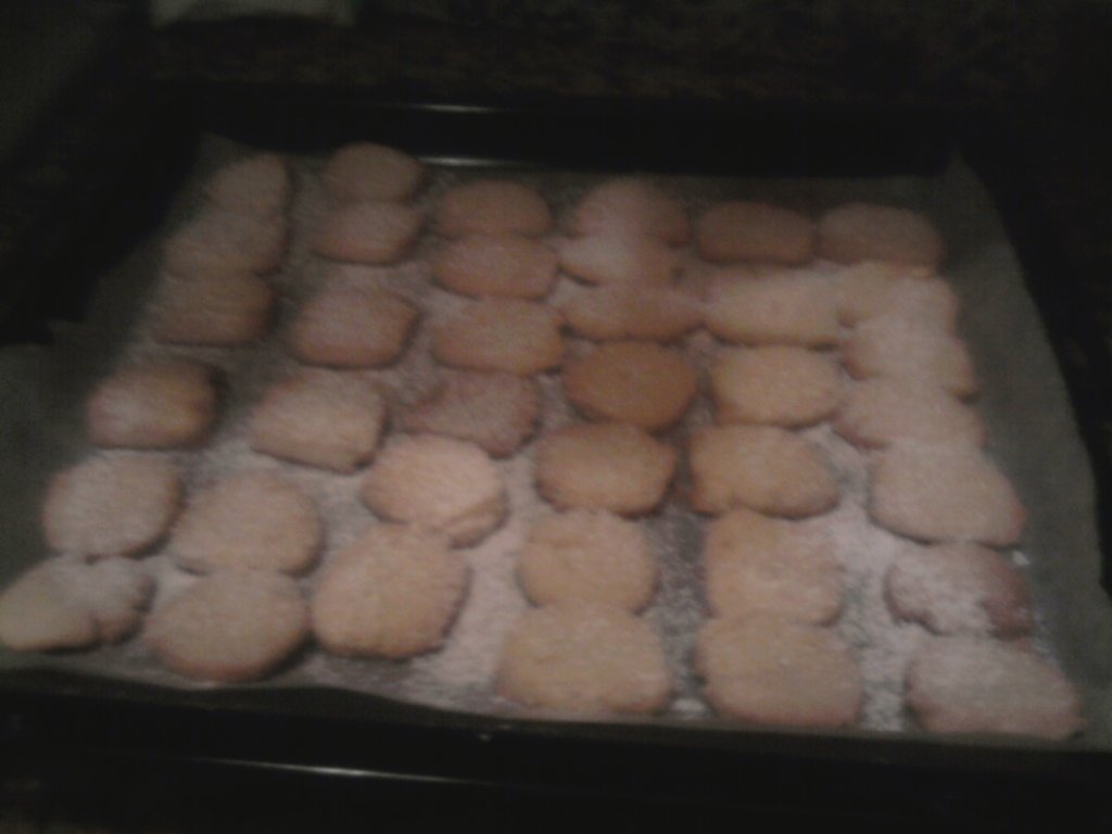 fursecuri simple cu nuca de cocos