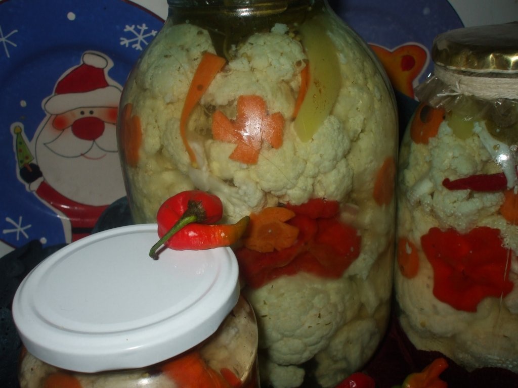 Conopida murata la borcan