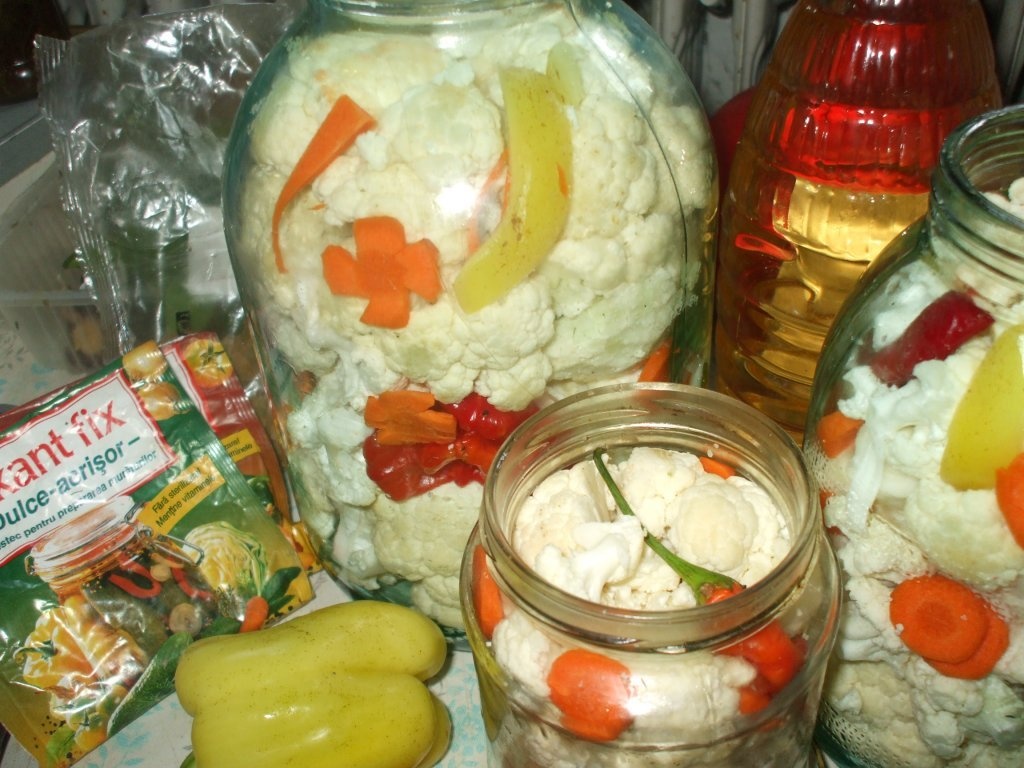 Conopida murata la borcan