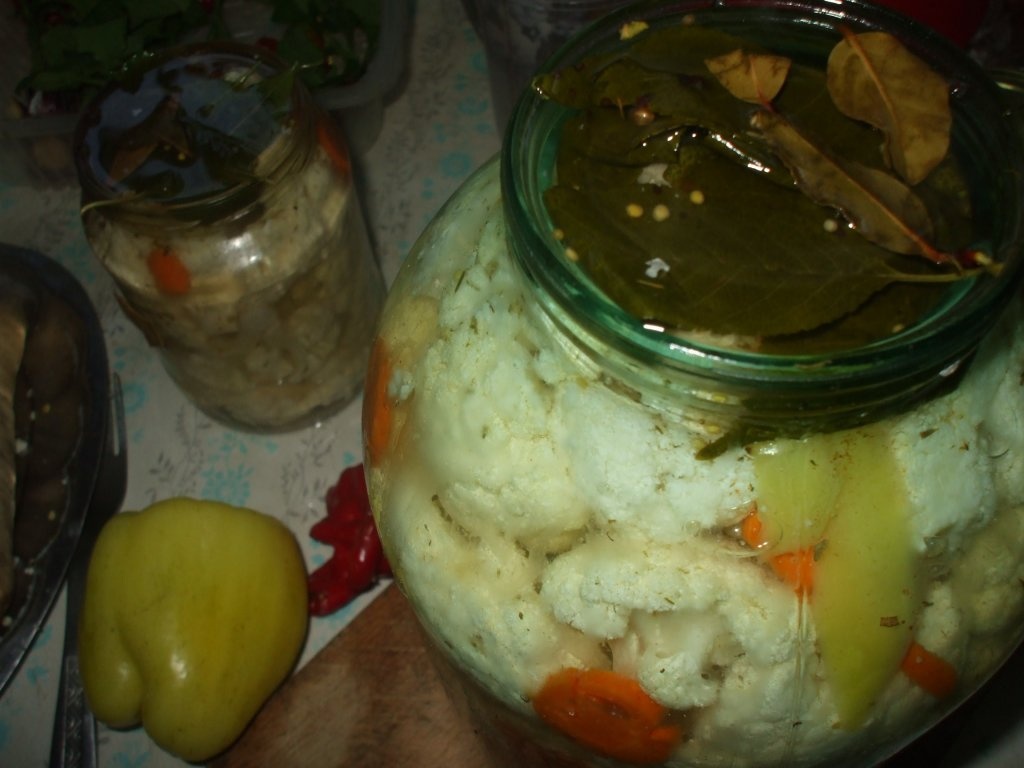 Conopida murata la borcan