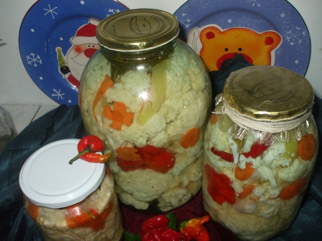 Conopida murata la borcan