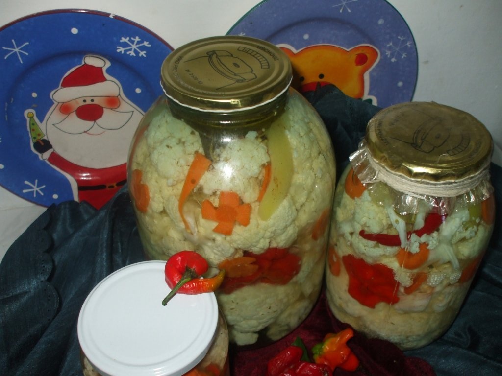 Conopida murata la borcan