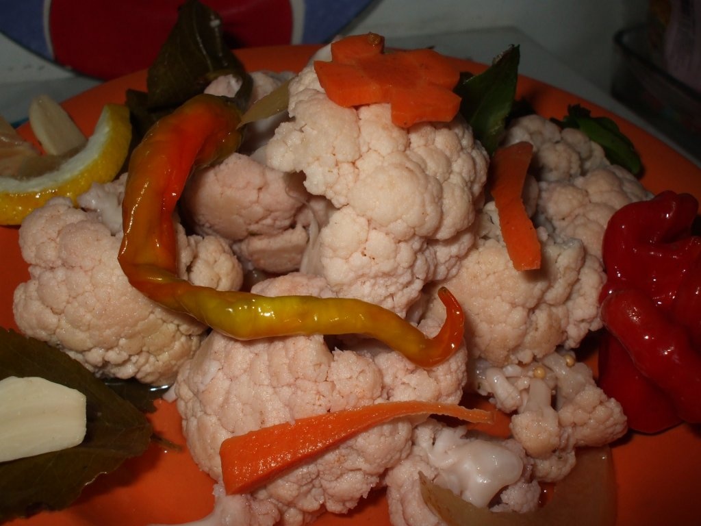 Conopida murata la borcan