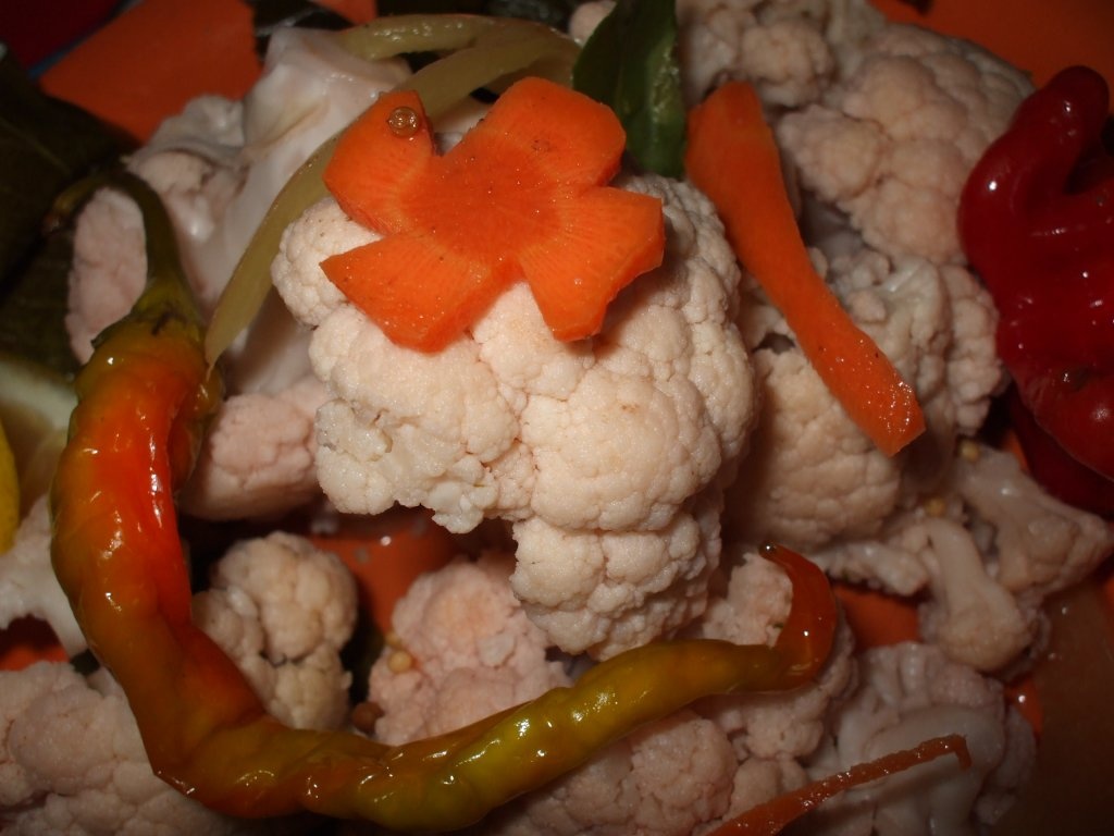 Conopida murata la borcan