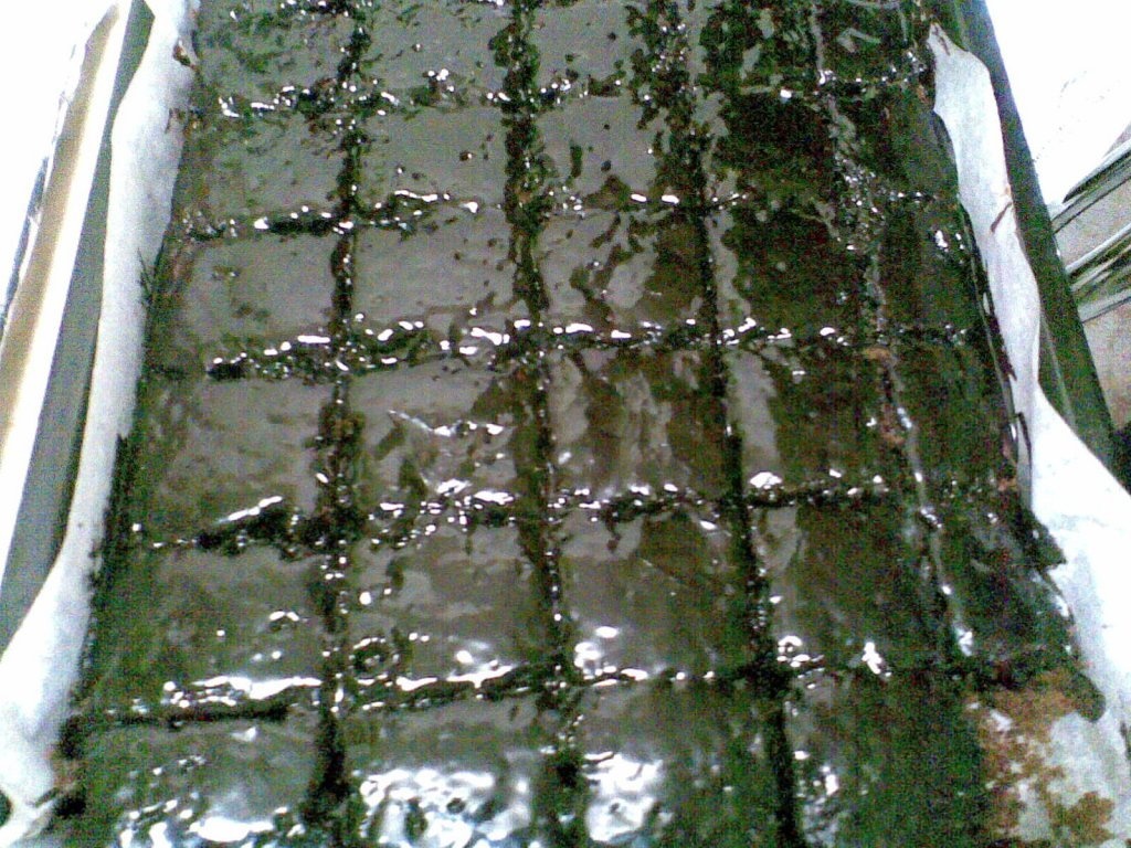 Negresa cu glazura de ciocolata