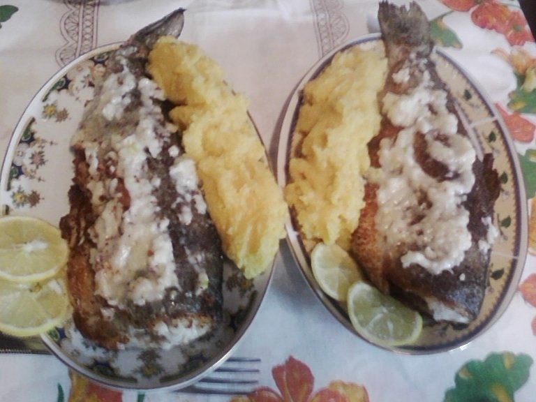 Pastrav in crusta de pesmet