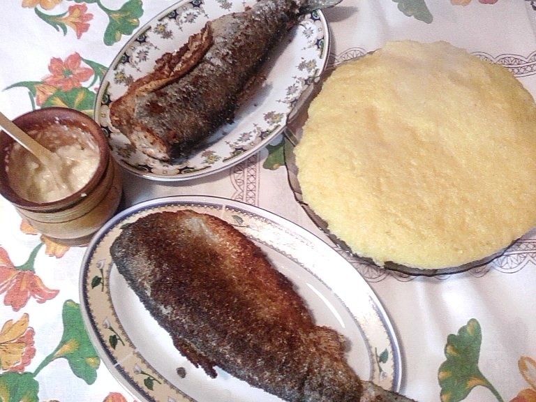 Pastrav in crusta de pesmet