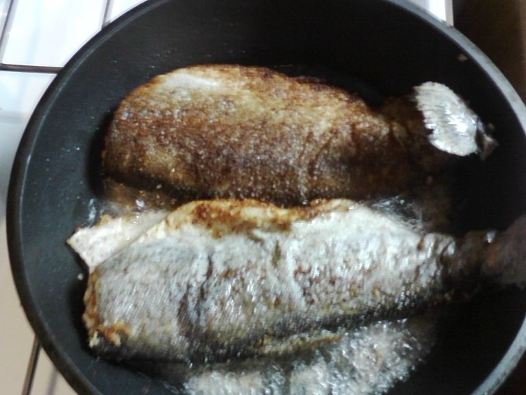 Pastrav in crusta de pesmet