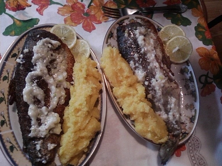 Pastrav in crusta de pesmet