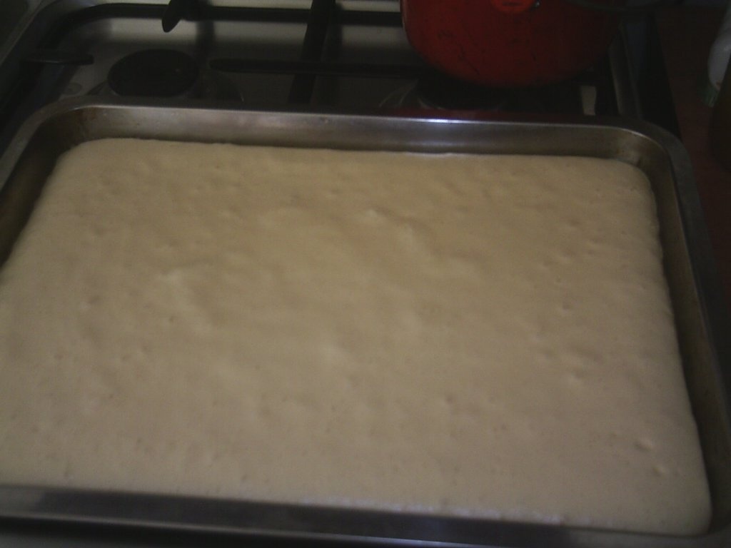 Prajitura cu  fructe