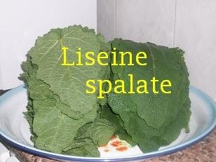 Liseine (specific  arab)