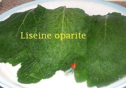 Liseine (specific  arab)