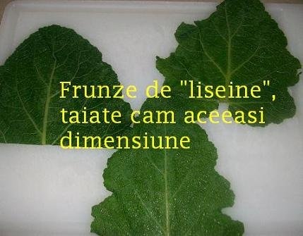 Liseine (specific  arab)