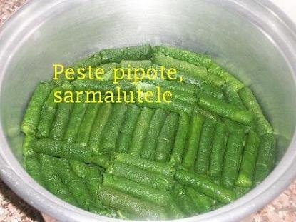 Liseine (specific  arab)