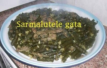 Liseine (specific  arab)