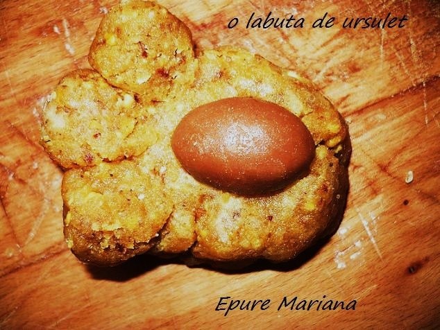 Labute de ursuleti - fursecuri cu nuca