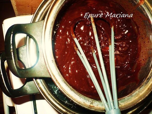 Straciatella Socrella