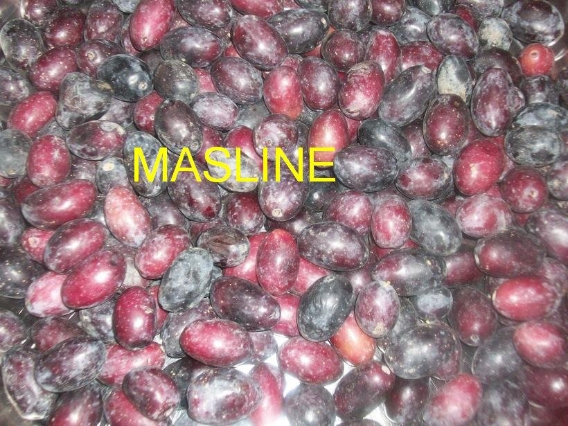 Masline murate, taiate rondele