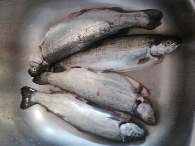 Garnitura de hrisca cu sos de peste