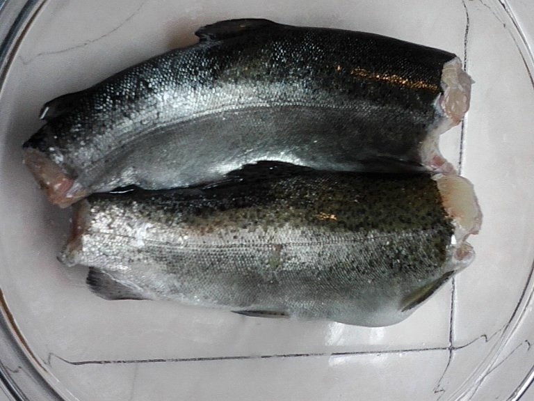 Pastrav cu sos de ciuperci