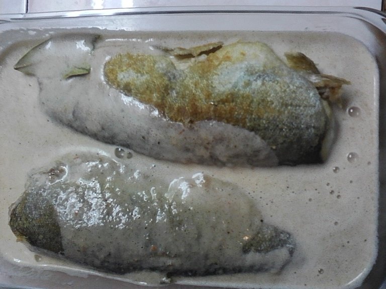 Pastrav cu sos de ciuperci