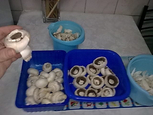 Ciulama de ciuperci,cu copanele de pui