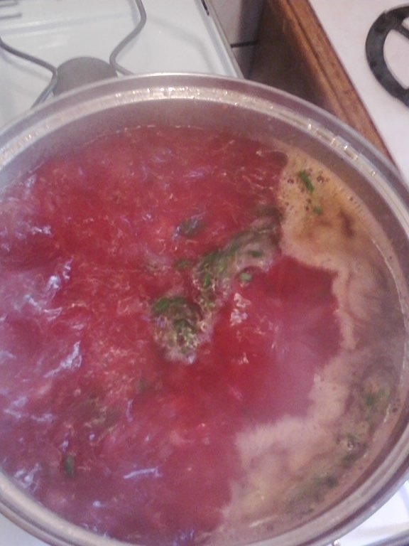 Ciorba de sfecla cu fasole