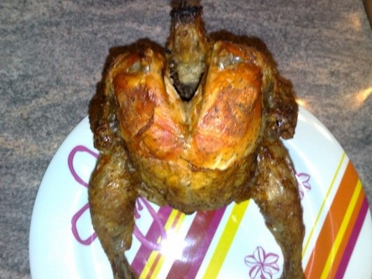 PUI PE STICLA LA CUPTOR