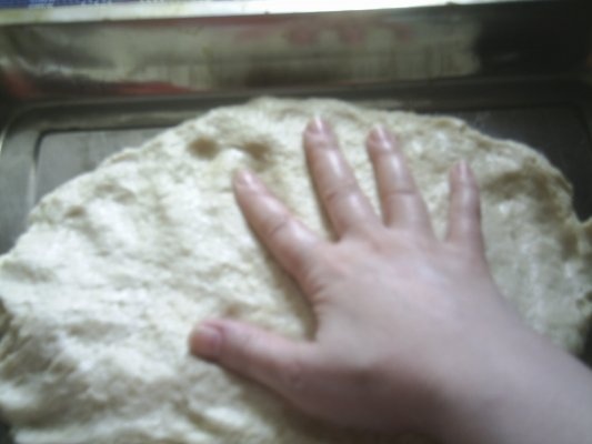 ALUAT RAPID DE PIZZA