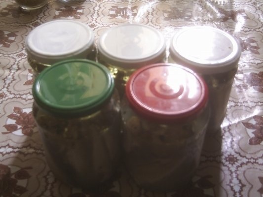 Peste (stavrizi) la borcan