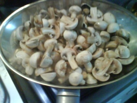 CIUPERCI LA TIGAIE, CU ROZMARIN