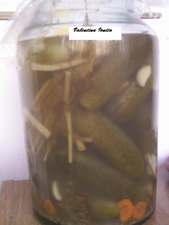 Castraveti murati pentru iarna