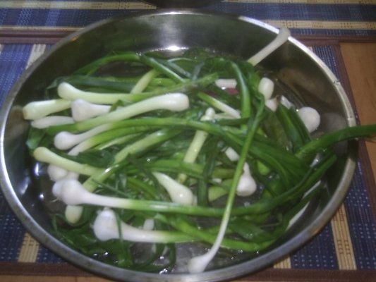 STUFAT DE MIEL DOBROGEAN