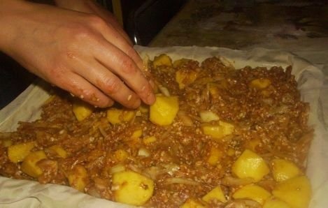 Placinta  cu carne - Ana