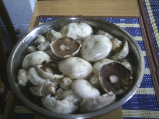 CIUPERCI UMPLUTE LA CUPTOR